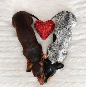 Meet your Posher, Judy